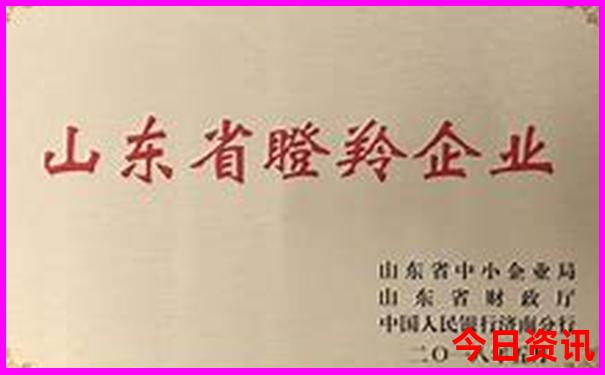 大连有啥好玩的景点推荐