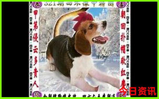 兴隆适合孩子玩的地方有哪些