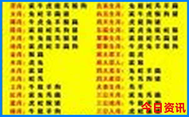 成都最好玩的地方