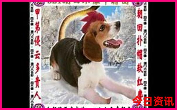 现在去什么地方旅游凉快